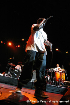 The Roots